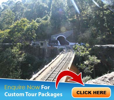 Kasauli Tour Packages